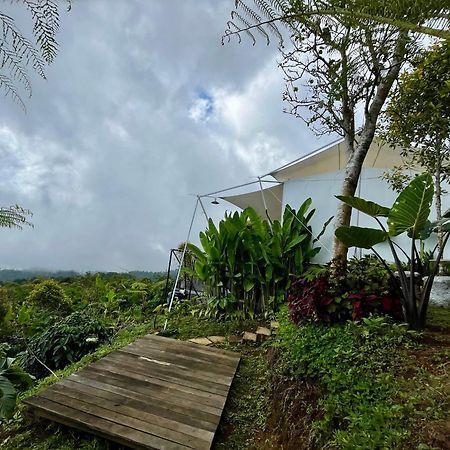 Harsa Eco Luxury Camp Hotel Gobleg  ภายนอก รูปภาพ