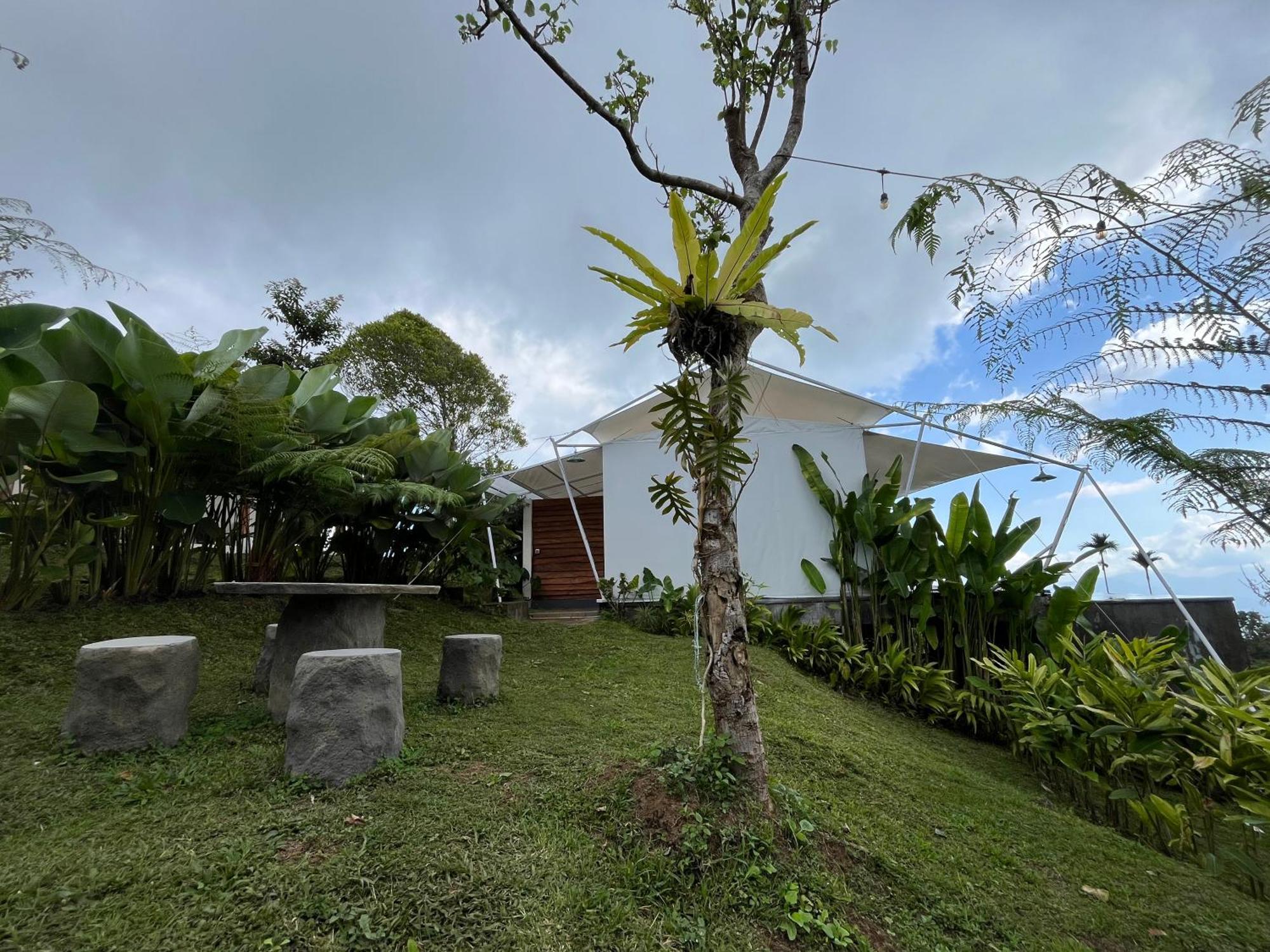 Harsa Eco Luxury Camp Hotel Gobleg  ภายนอก รูปภาพ