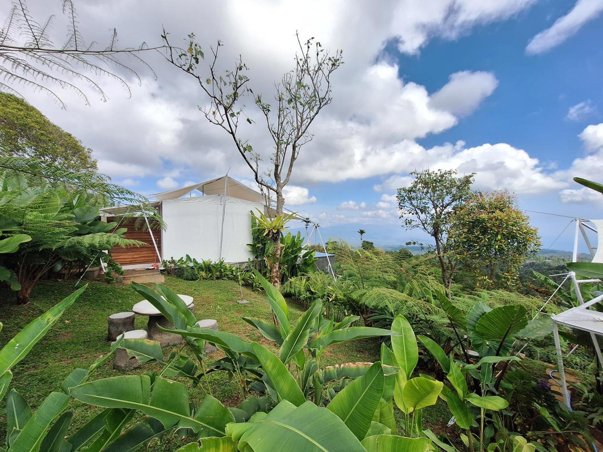 Harsa Eco Luxury Camp Hotel Gobleg  ภายนอก รูปภาพ