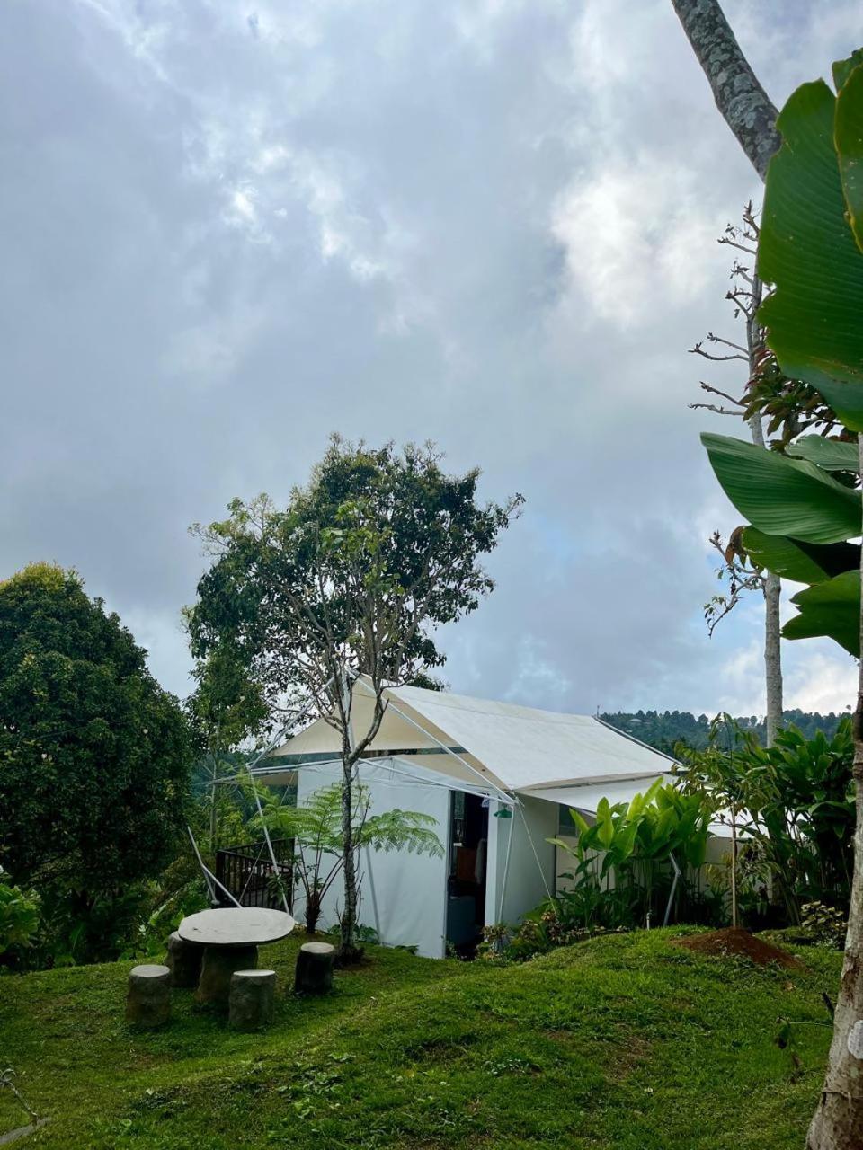 Harsa Eco Luxury Camp Hotel Gobleg  ภายนอก รูปภาพ